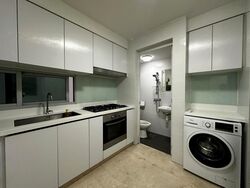 Eight Riversuites (D12), Condominium #545449851